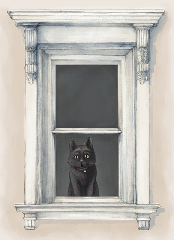 Bob peering through a window